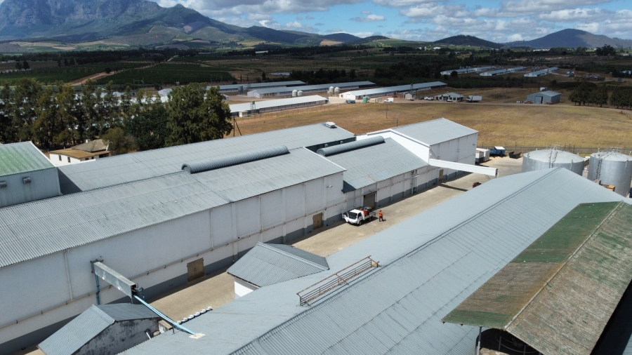 To Let commercial Property for Rent in Paarl South Western Cape